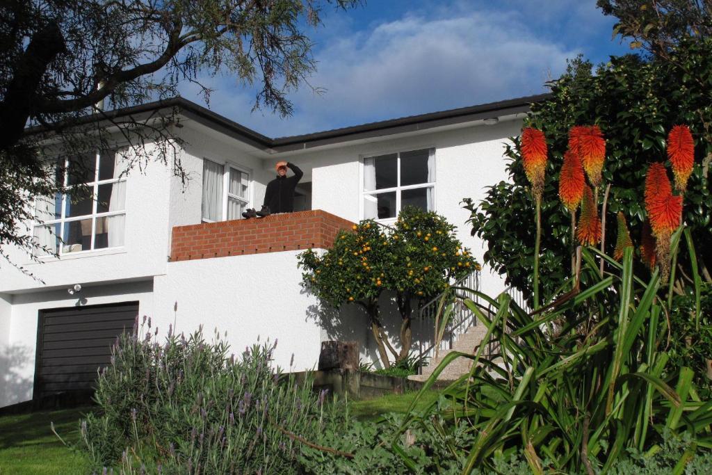 16 Havelock Bed & Breakfast New Plymouth Bagian luar foto
