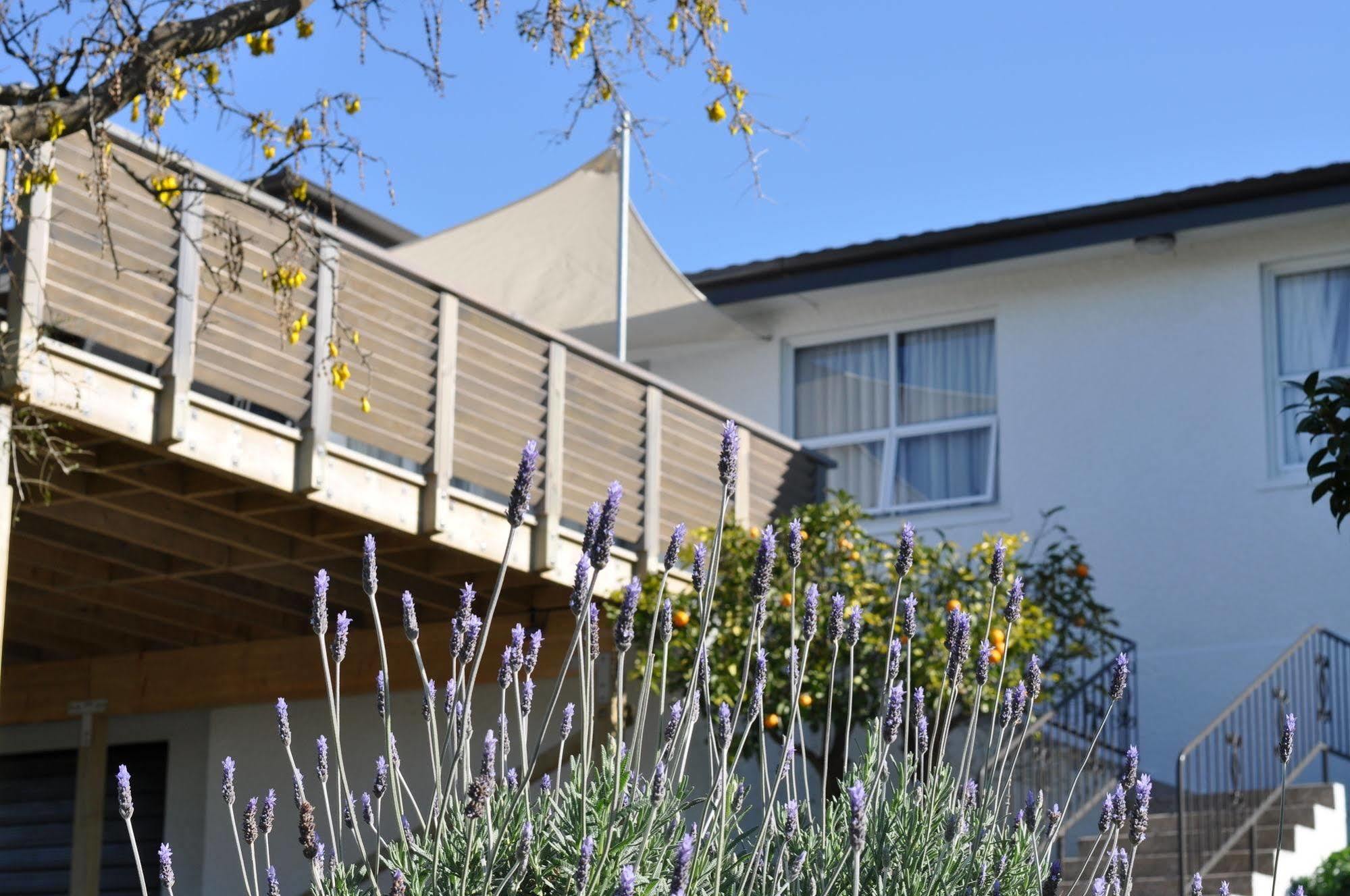 16 Havelock Bed & Breakfast New Plymouth Bagian luar foto